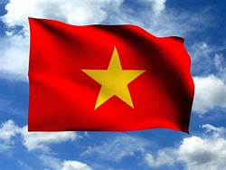 VN Flag